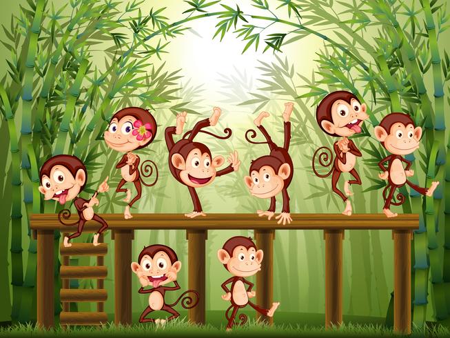 Scene with monkeys in the bamboo forest vector