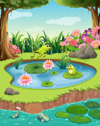 Frogs and fish in the pond vector