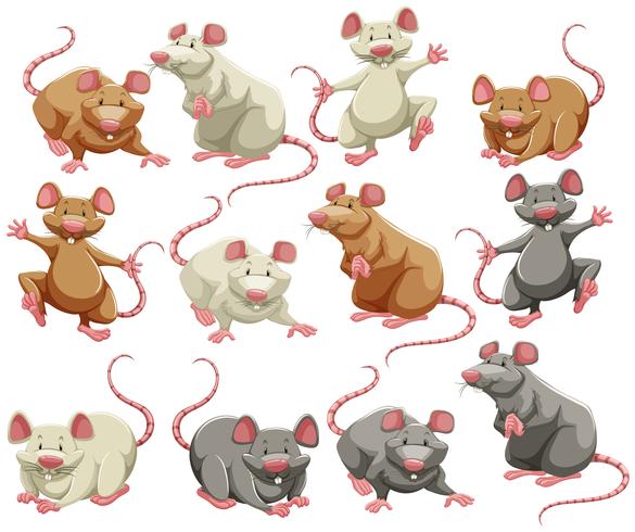 Mouse vector