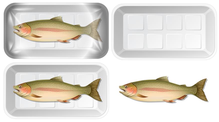Conjunto de pescado en embalaje. vector