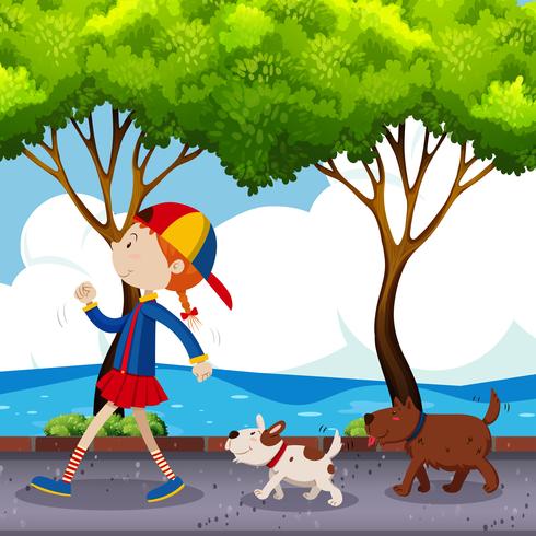 Girl and two dogs walking on street vector