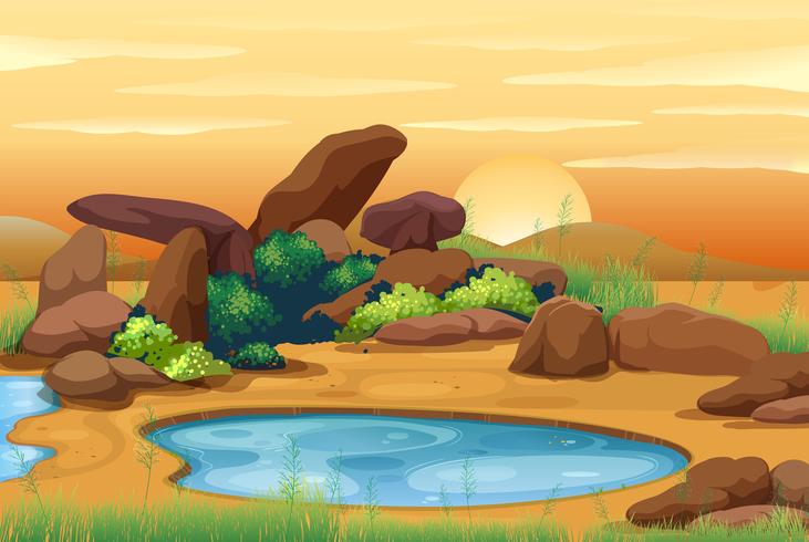 Scene with waterhole at sunset vector