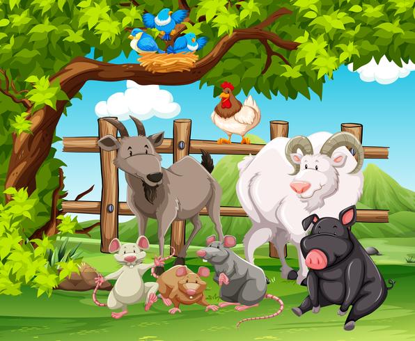 Farm animals living in the farm vector