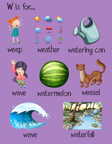 Many words begin with letter W vector