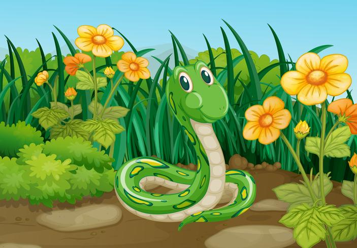 Serpiente verde en el jardin vector