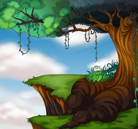 Big tree on the cliff vector