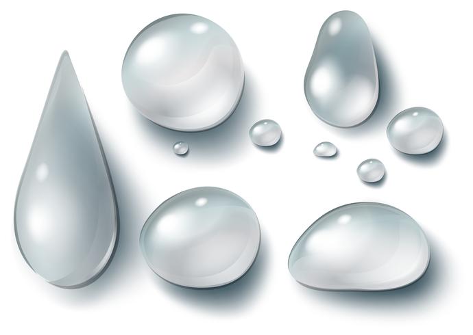 Set of water drops  vector