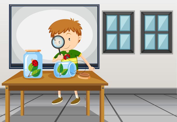 Boy looking at ladybug in classroom vector