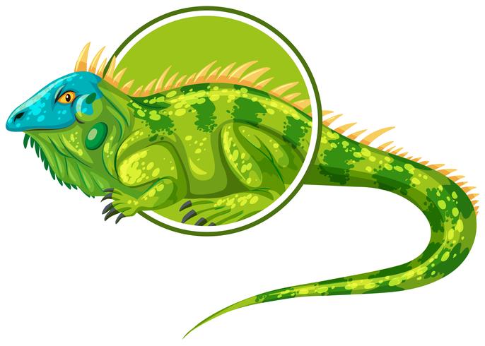 Iguanas character on sticker template vector