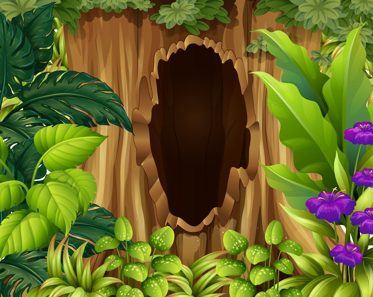 Escena del bosque con agujero en el árbol 447639 Vector en Vecteezy