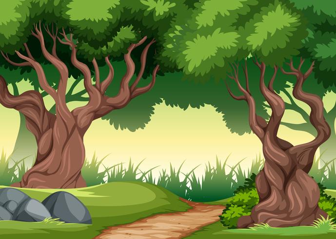 Uno sfondo di foresta pluviale tropicale - Scarica Immagini ...