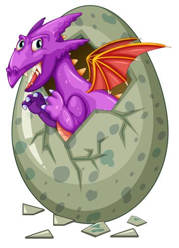 El dragon sale del huevo vector