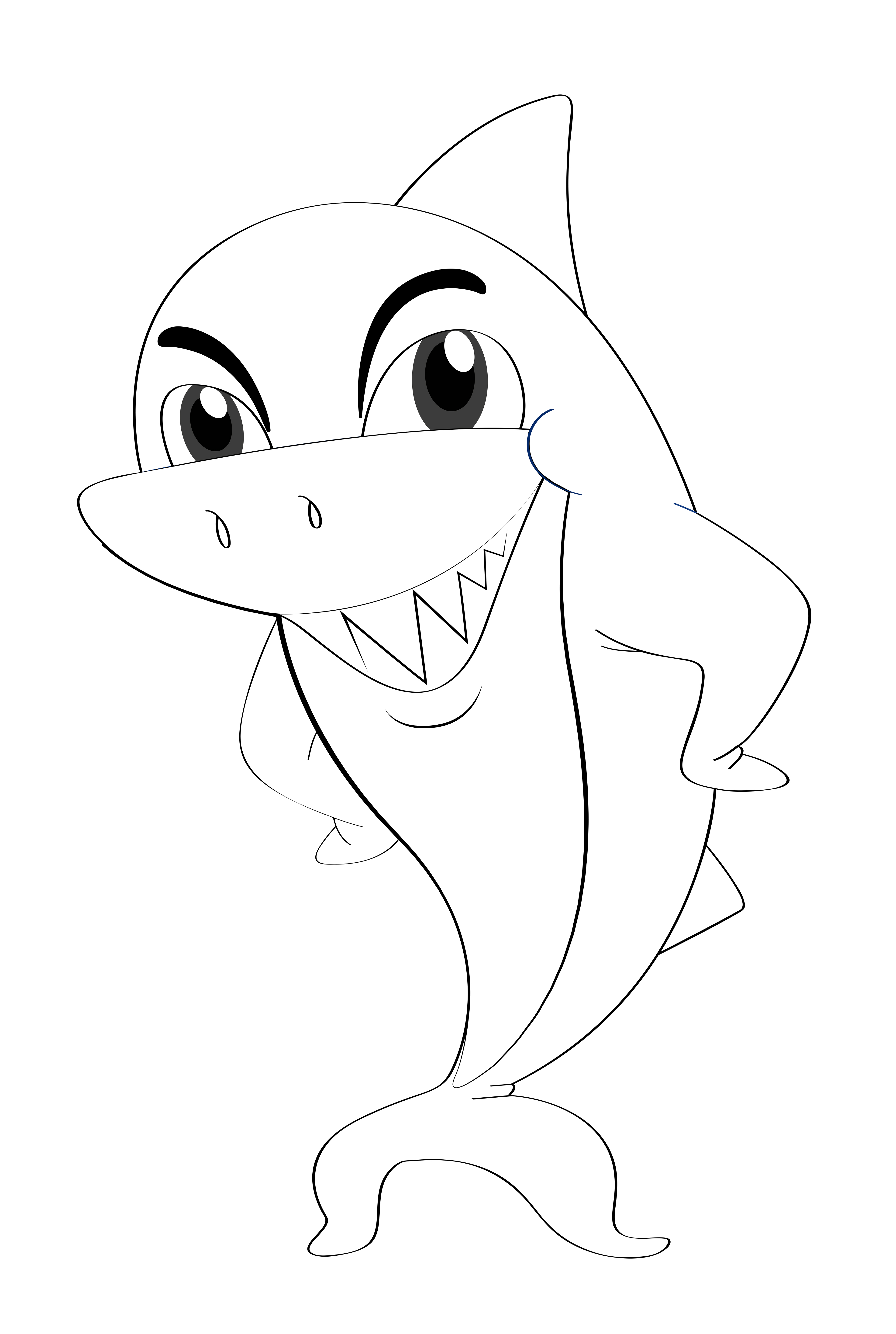 shark outline