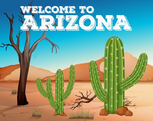 Plantas de cactus en el estado de Arizona vector