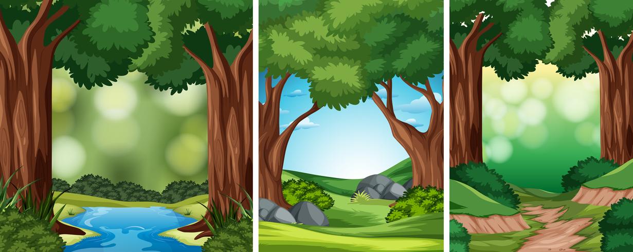 Set of nature background vector