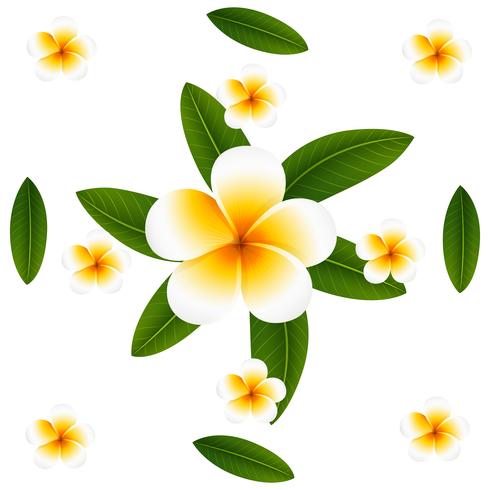 Seamless background design with plumeria and leaves vector