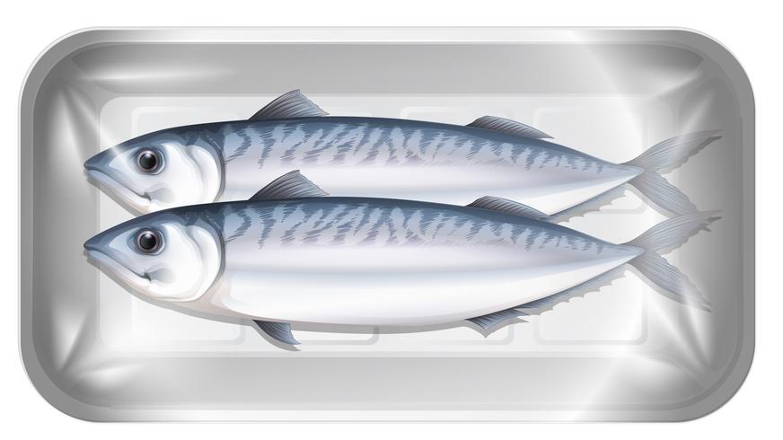 Mackerel in the package vector