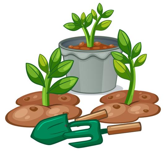 Plantas y equipos de jardinería. vector