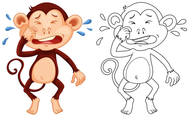 Animal outline for monkey crying vector