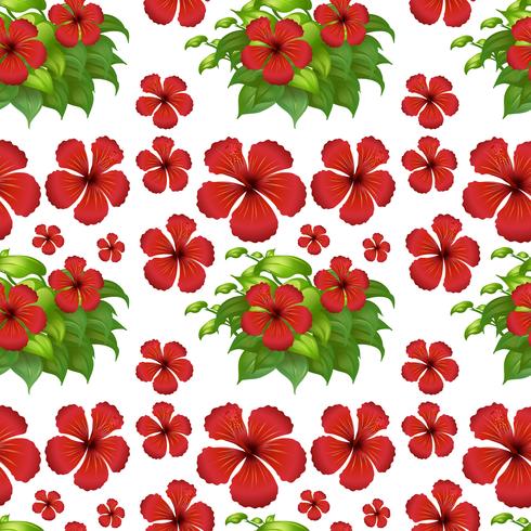 Seamless background with red hibiscus flowers vector