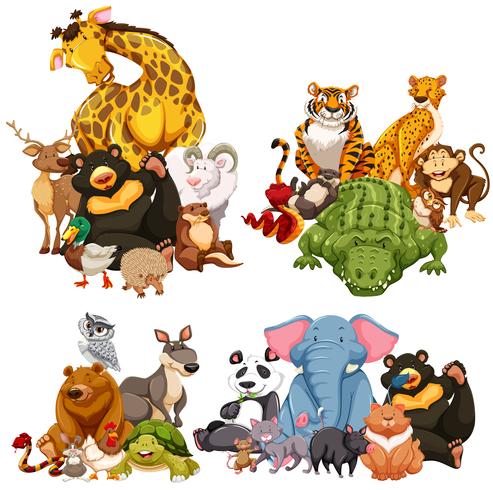 Cuatro grupos de animales salvajes vector