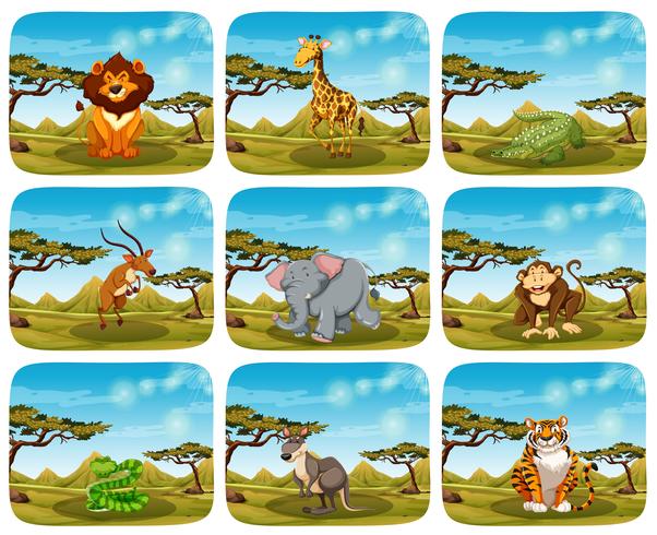 Conjunto de diferentes animales en escenas. vector