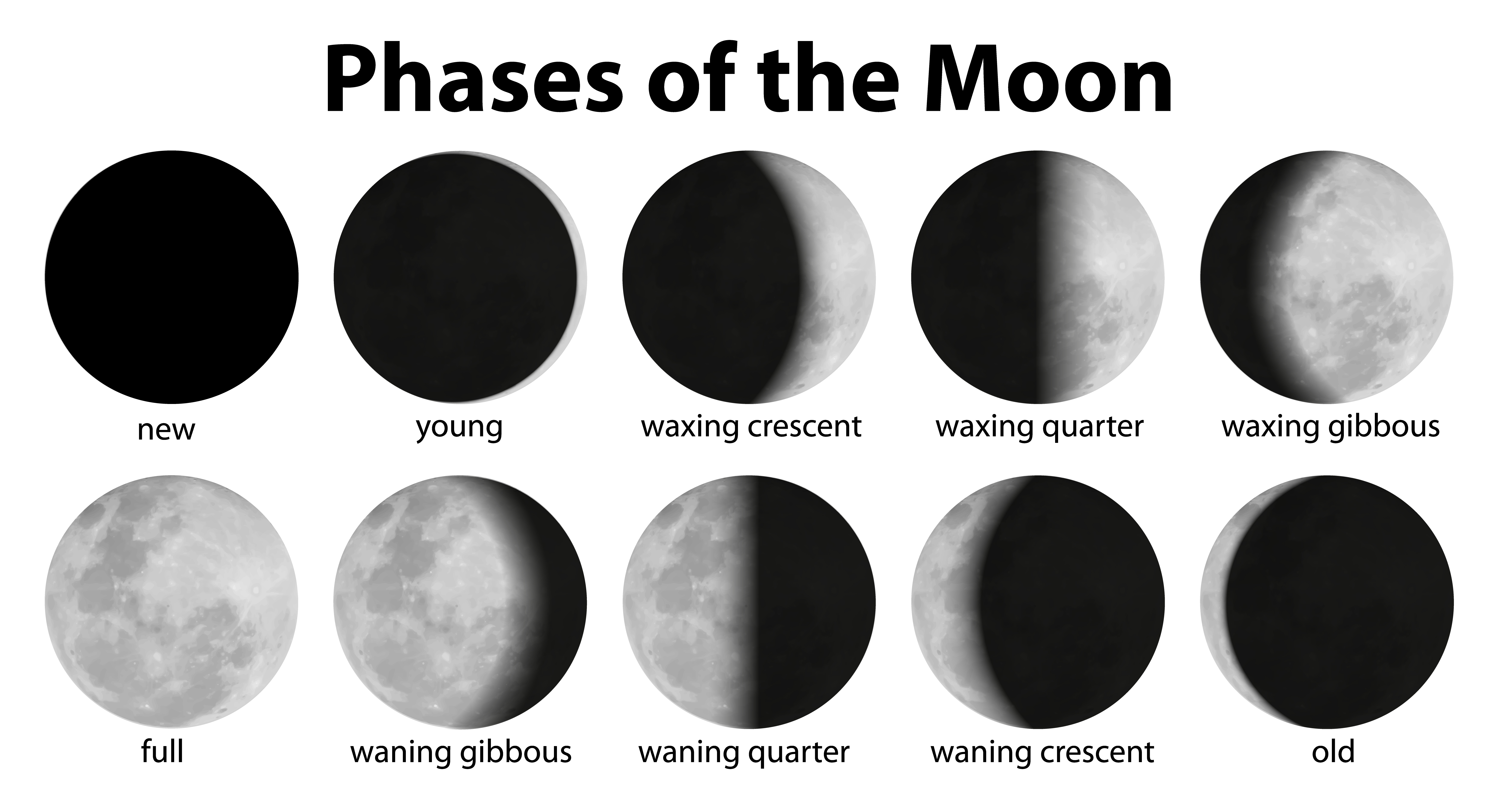 Phases of the Moon 448027 Vector Art at Vecteezy