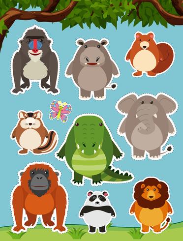 Many wild animals in the field vector