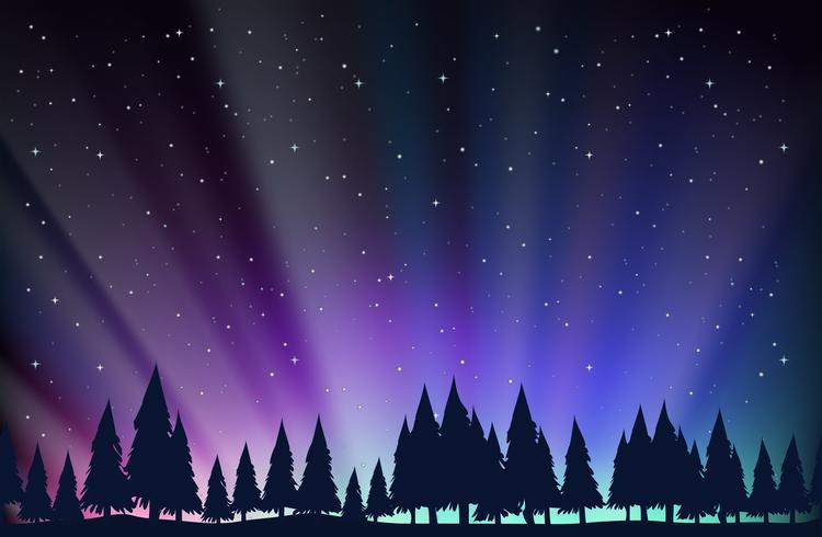 Escena nocturna con arboles y estrellas. vector