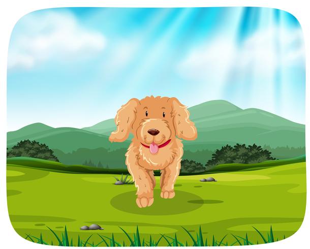 puppy running in park vector