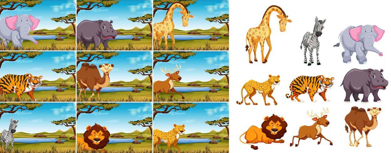 Set of wild animal in nature vector