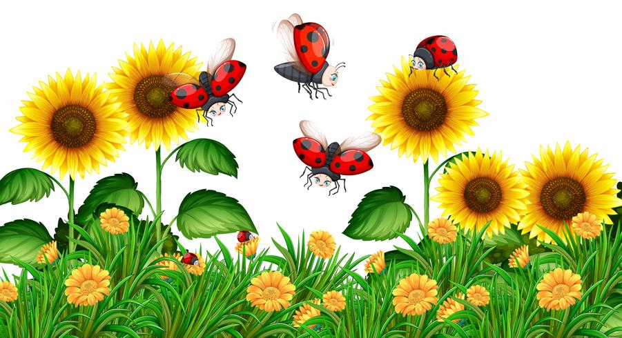 Ladybugs flying in sunflower garden vector