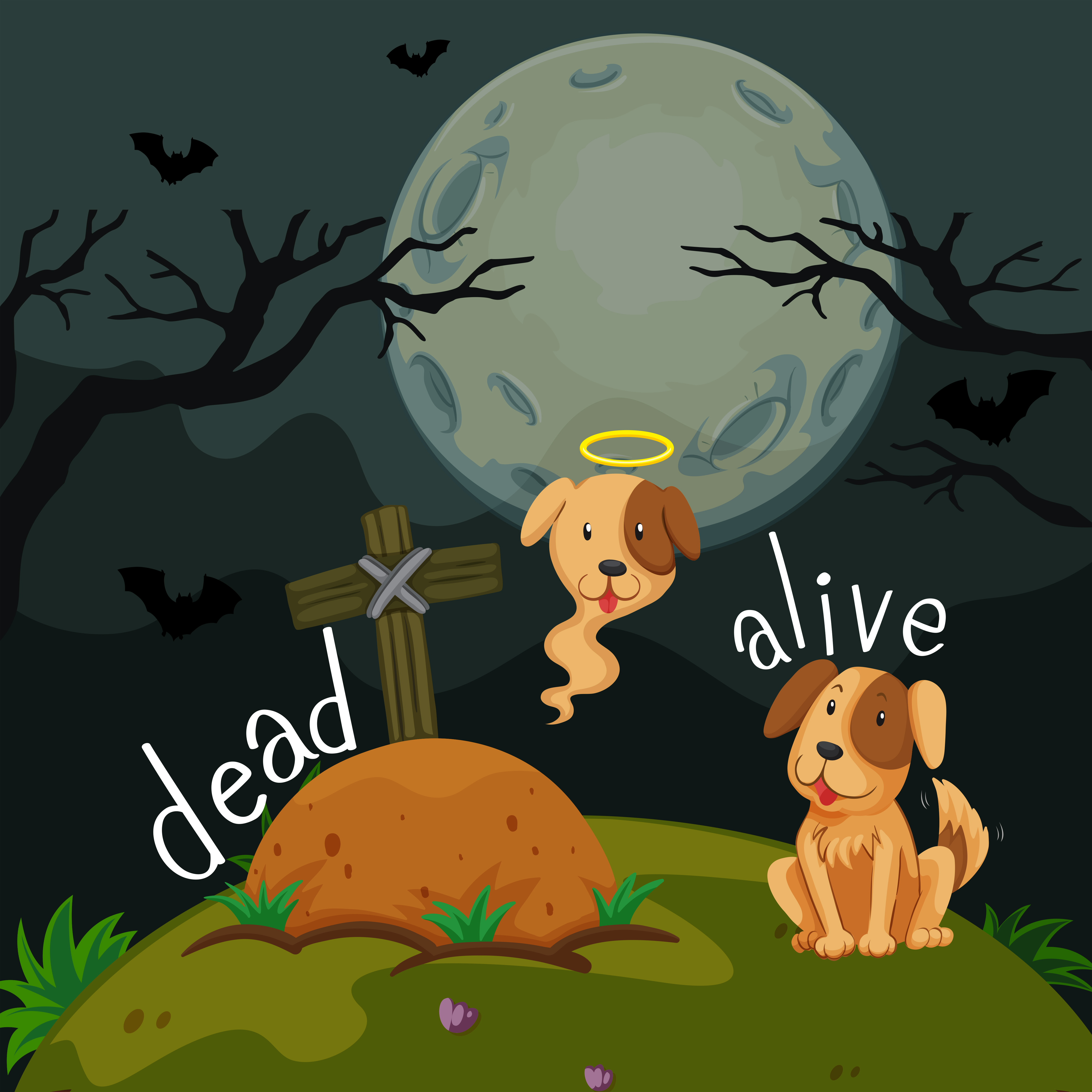 Opposite Word For Alive And Dead Illustration Royalty Free SVG, Cliparts,  Vectors, and Stock Illustration. Image 71260664.