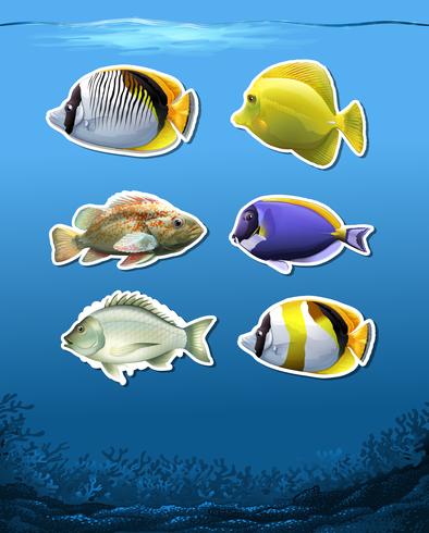 Set of underwater fish vector