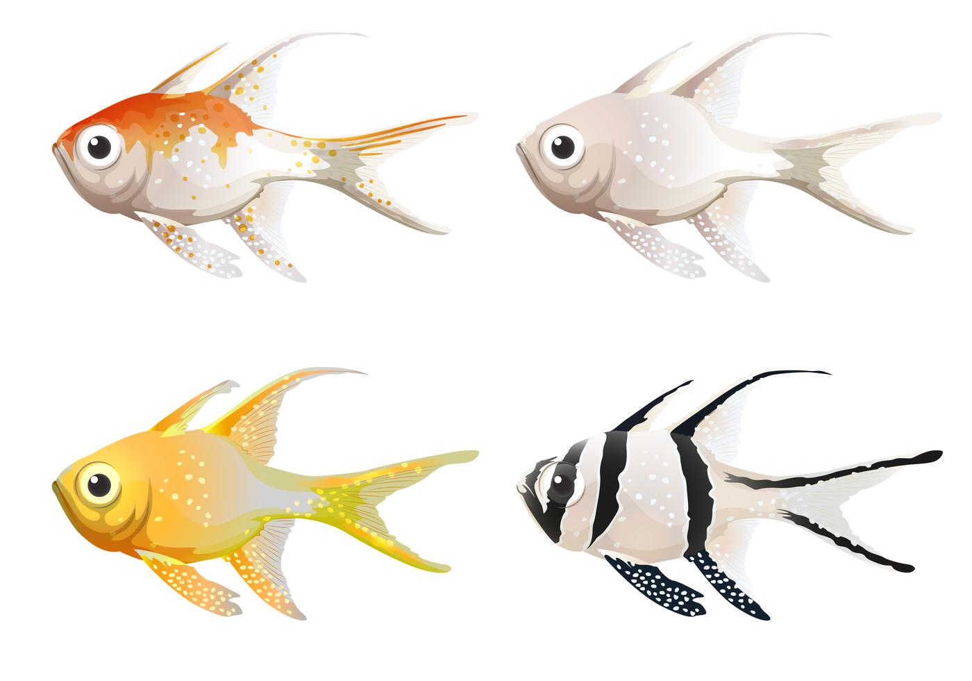 Sea creatures 448236 Vector Art at Vecteezy