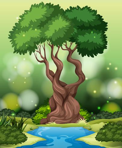 A tropical rainforest background vector