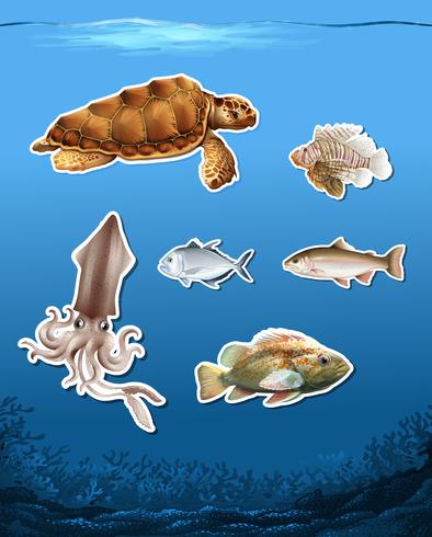 Set of different animals in ocean vector