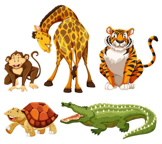 Los animales vector