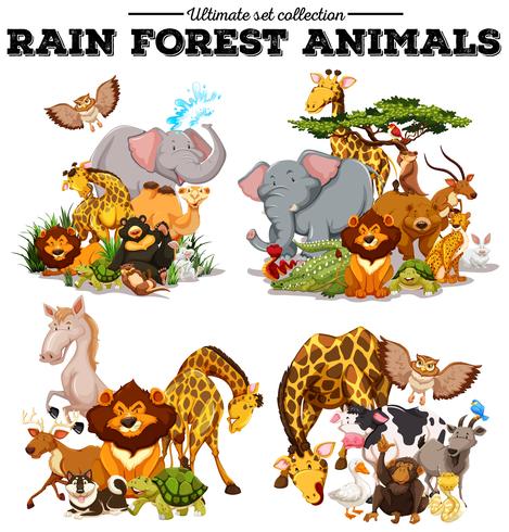 Different kind of rainforest animals vector