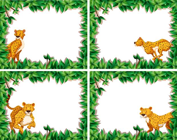 Set of cheetah on nature frame vector