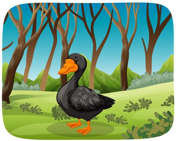 Un cisne negro en el fondo de la naturaleza vector