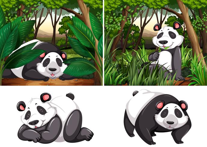 Panda en el bosque profundo vector