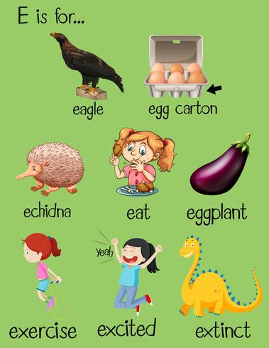 Poster letter E and different words vector