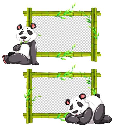 Two bamboo frames with cute panda vector