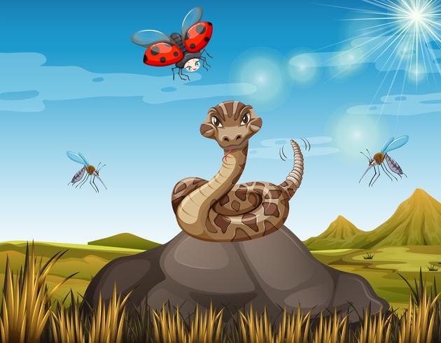 Wild snake on the rock with many bugs 448641 Vector Art at Vecteezy