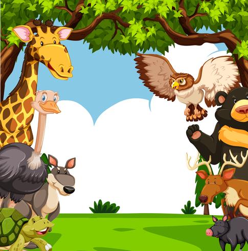 Scene with many animals in forest vector