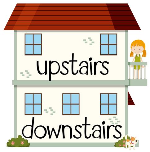 Opposite wordcard for upstairs and downstairs vector