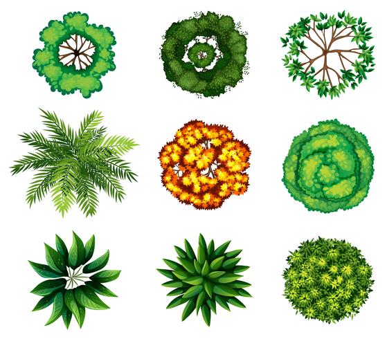 Un grupo de plantas vector