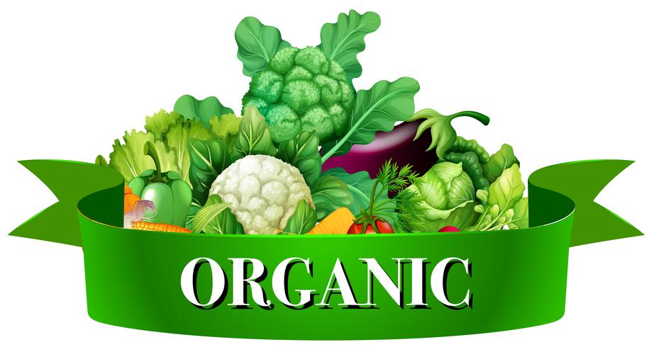 Verduras frescas con banner vector