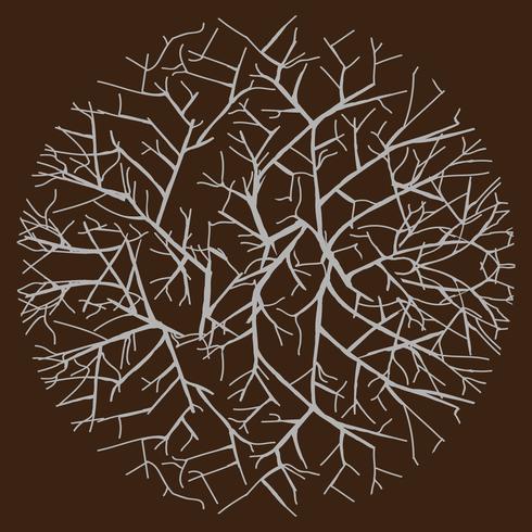 pattern with abstract vector